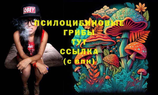 МДПВ Балахна
