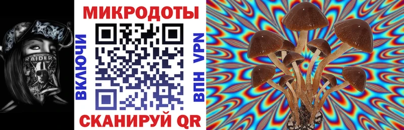 как найти   гидра маркетплейс  Галлюциногенные грибы MAGIC MUSHROOMS  Горбатов 